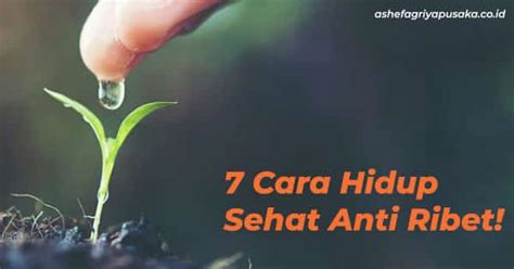4 Rahasia Sehat Anti Ribet yang Bikin Hidup Lebih Enteng!