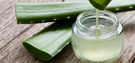 5 Bahan Alami Ampuh Hilangkan Komedo, Bikin Wajah Cerah! 5 Bahan Alami Ampuh Hilangkan Komedo, Bikin Wajah Cerah!