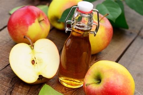 5 Bahan Alami Ampuh Hilangkan Komedo, Bikin Wajah Cerah! 5 Bahan Alami Ampuh Hilangkan Komedo, Bikin Wajah Cerah!