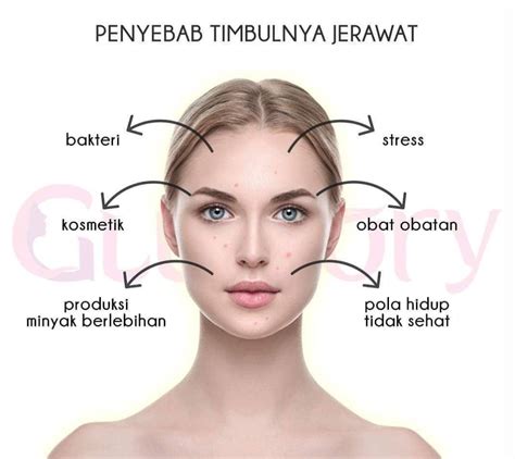 7 Rahasia Kulit Mulus Bebas Jerawat: Buktikan Sendiri! 7 Rahasia Kulit Mulus Bebas Jerawat: Buktikan Sendiri!