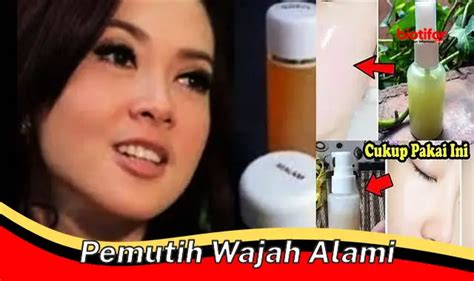 7 Rahasia Perawatan Athena: Kulit Glowing and Awet Muda Terungkap! 7 Rahasia Perawatan Athena: Kulit Glowing and Awet Muda Terungkap!