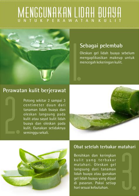 7 Rahasia Wajah Mulus Bebas Jerawat dengan Bahan Alami! 7 Rahasia Wajah Mulus Bebas Jerawat dengan Bahan Alami!