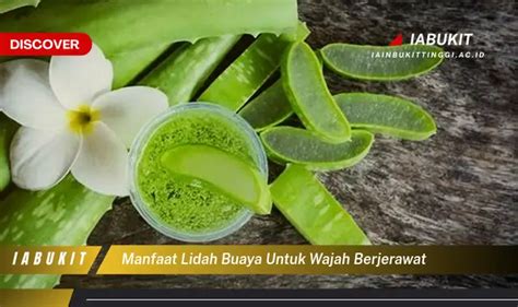 7 Rahasia Wajah Mulus Bebas Jerawat dengan Bahan Alami! 7 Rahasia Wajah Mulus Bebas Jerawat dengan Bahan Alami!